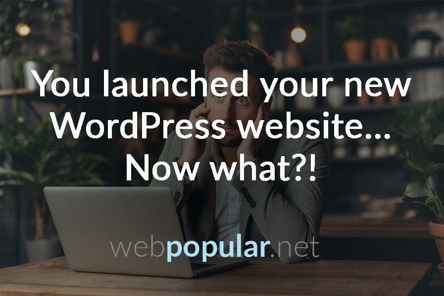 You’ve Just Launched Your New Business WordPress Website, Now What?