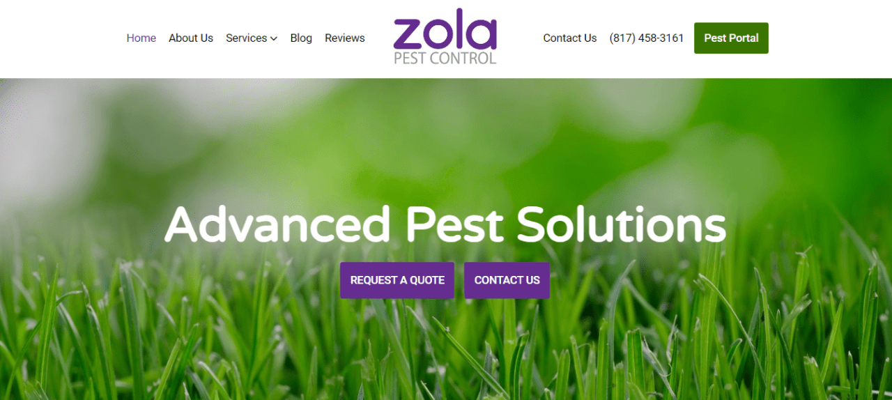 Pest Control Web Design in Argyle, TX