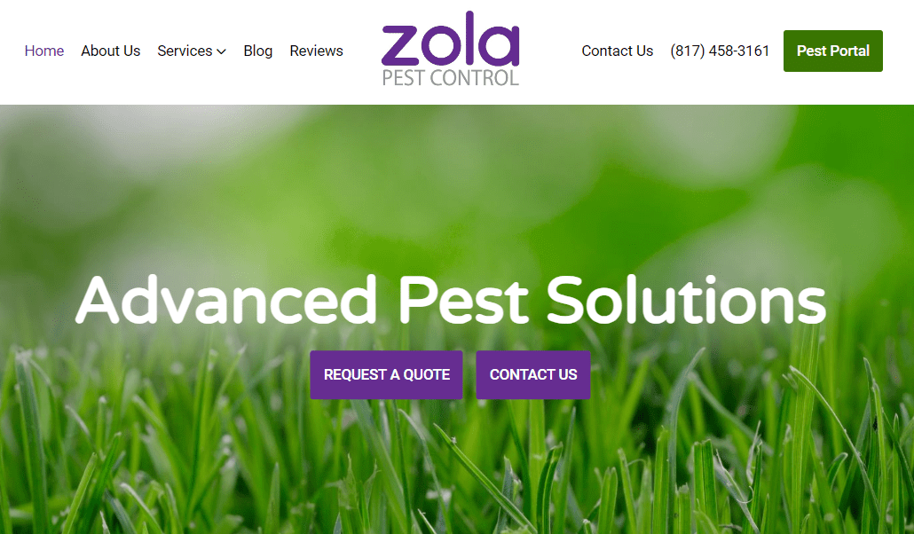 Pest Control Web Design in Argyle, TX
